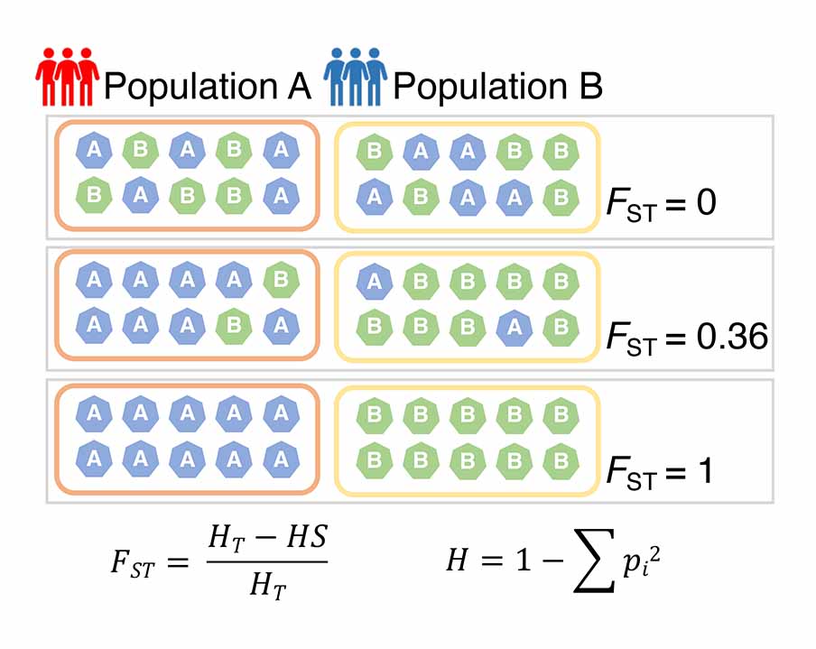 Description of image