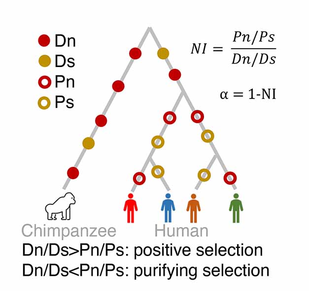 Description of image