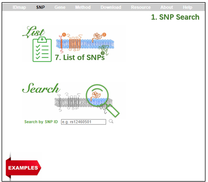 Description of image